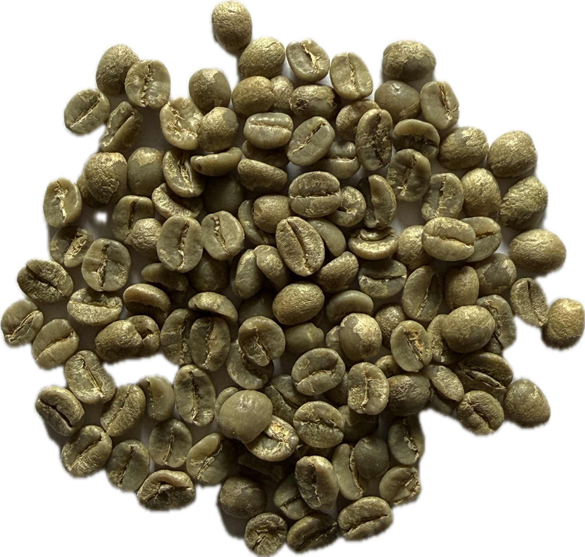 Råkaffe - Tanzania Shangri-La Estate - Washed - Direct Trade 