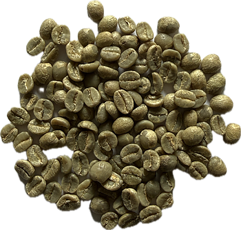 Råkaffe - Tanzania Shangri-La Estate - Washed - Direct Trade 