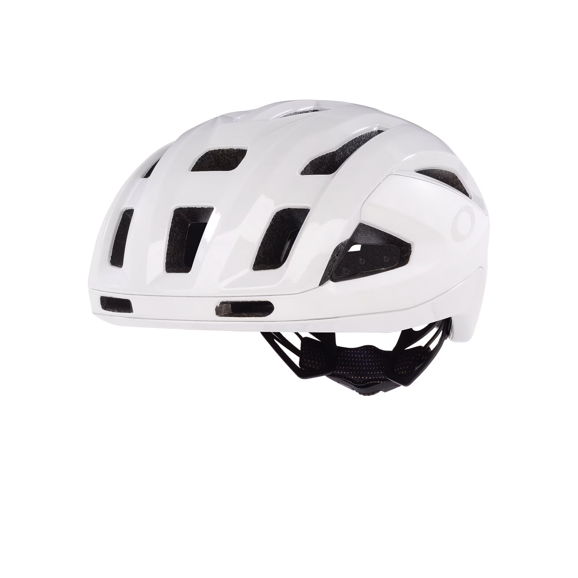 OAKLEY ARO 3 ENDURANCE Mips