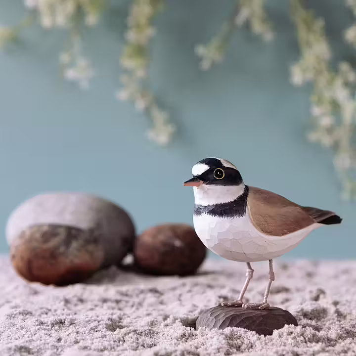DecoBird Mindre Strandpipare - 2