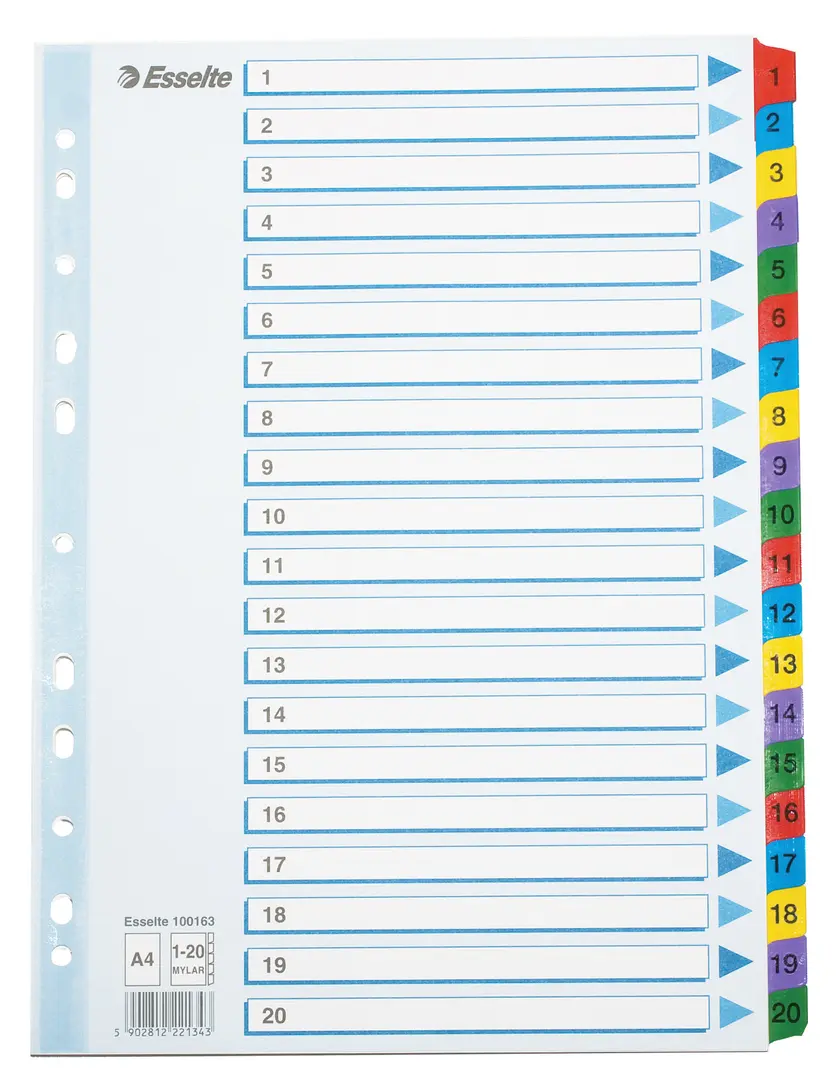 Register Esselte Mylar A4 1-20