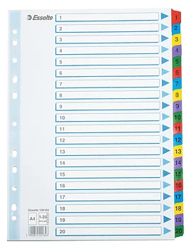 Register Esselte Mylar A4 1-20