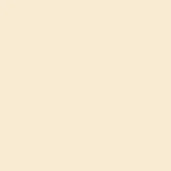 Image A4 120g pale cream 250fp