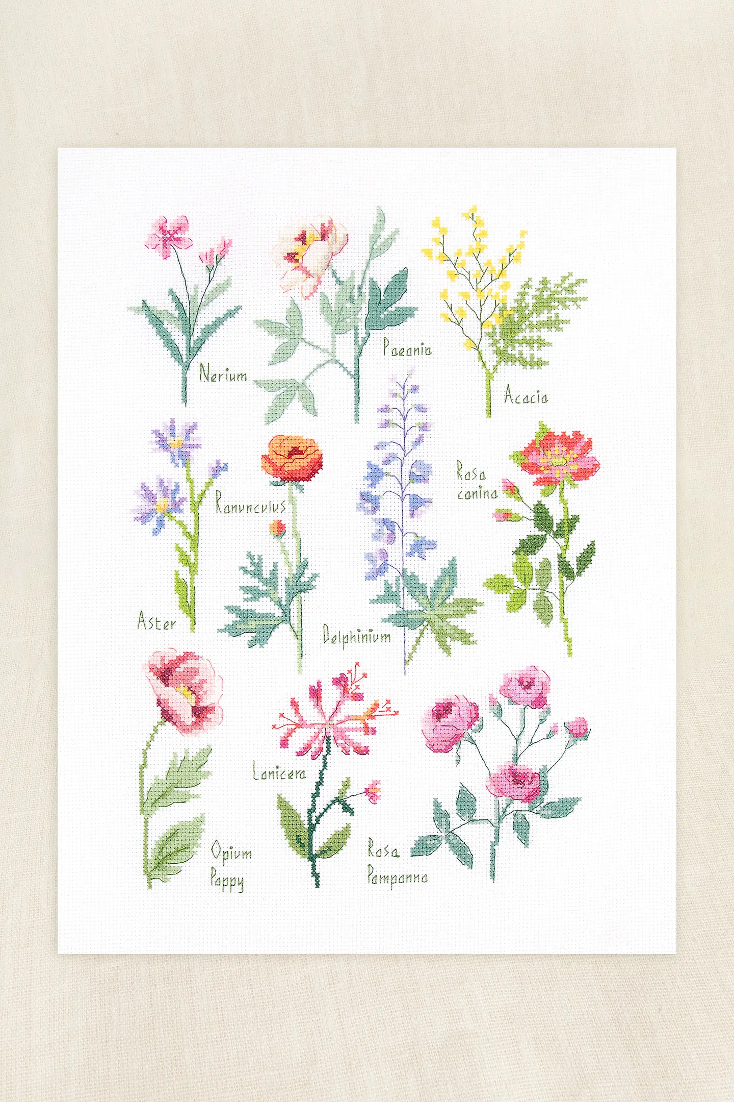 DMC Korsstygnskit Botanical Sampler 23 x 33,5 cm - Aida 5,5/14 ct