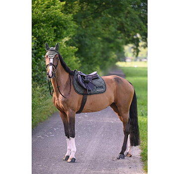 Schabrak BOSS Equestrian Cheltenham miljö