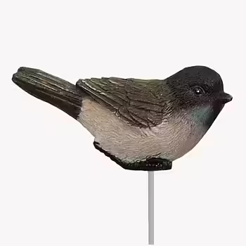 Fågel stick -liten