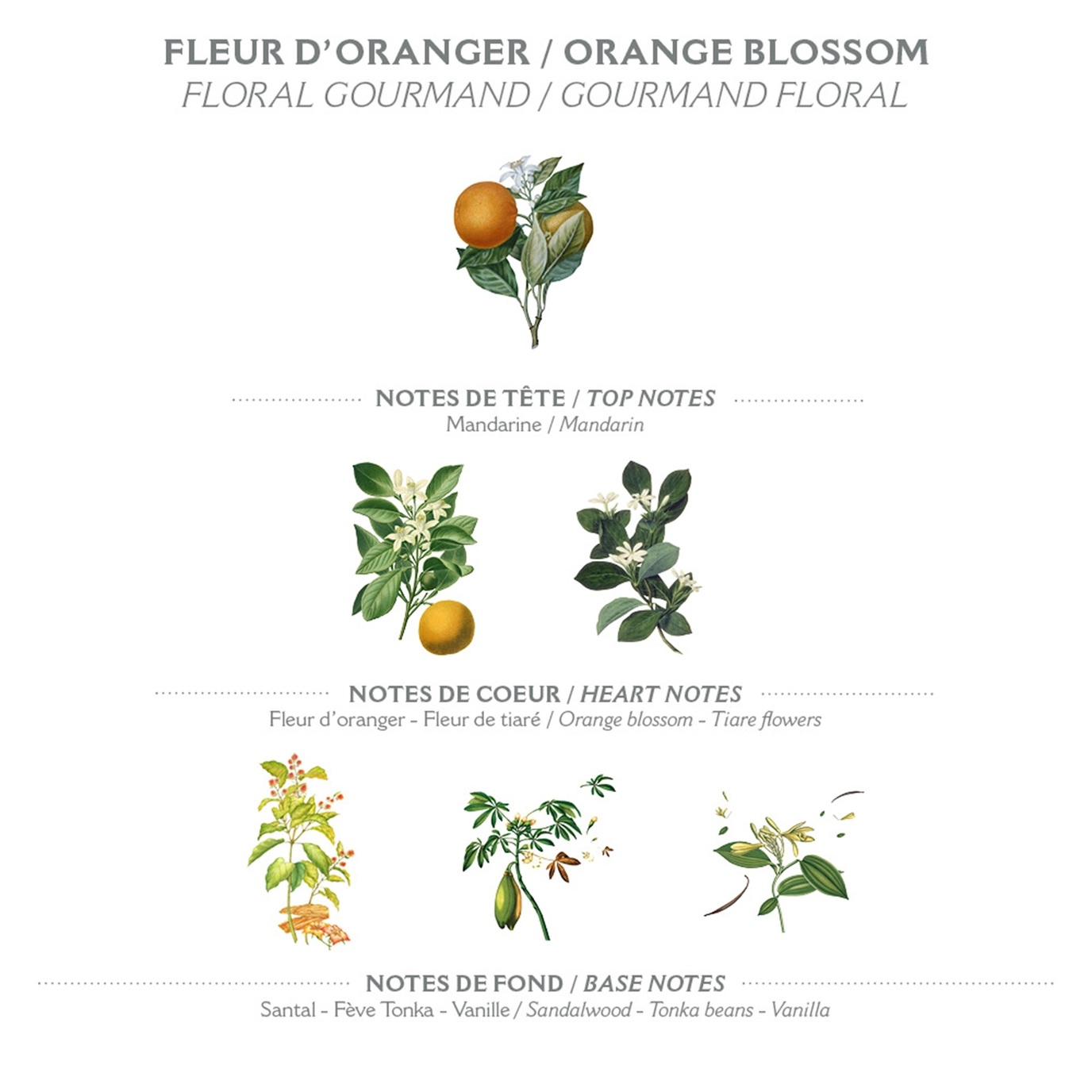 Panier des Sens Orange Blossom Body Lotion (250 ml) - 3