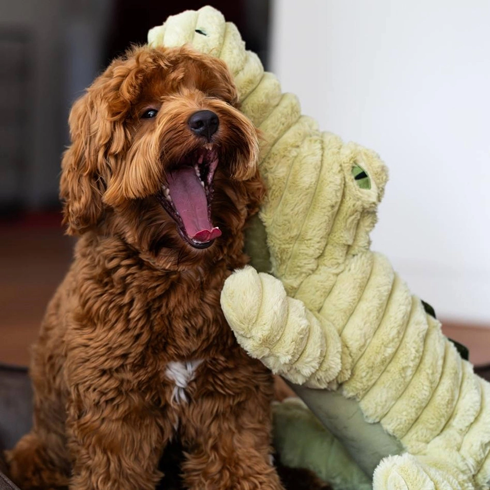 Giant crocodile alligator squeaking and rustling dog toy
