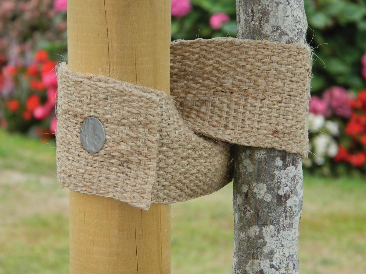 Juteband Tree Tie - 5m x 5cm