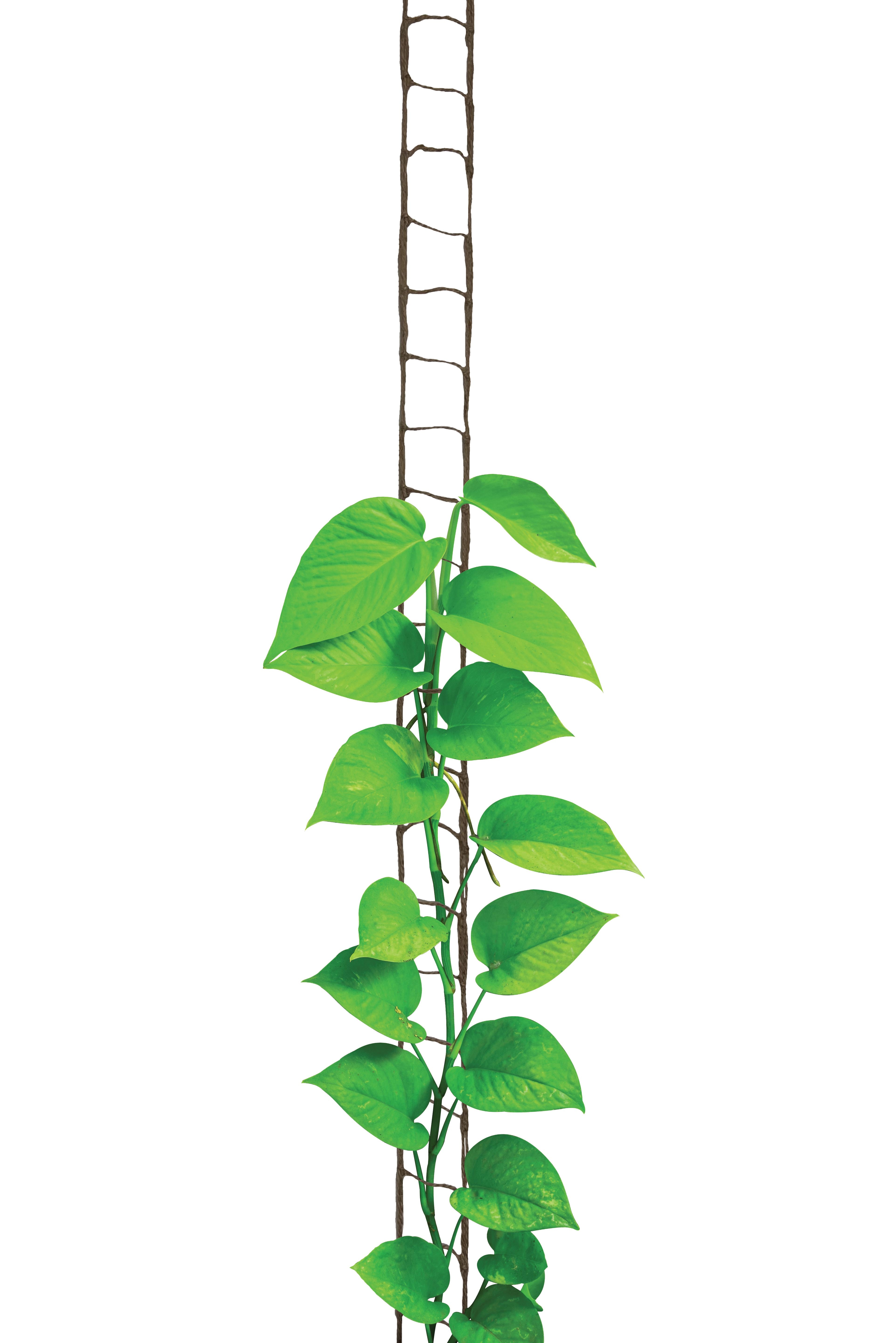 Jutenät Plant Ladder - 3m - 3