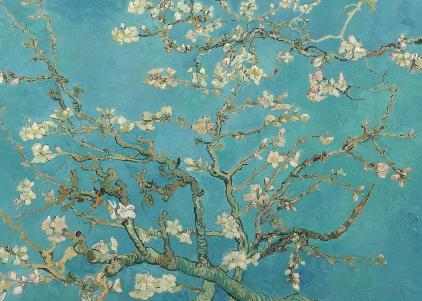 Leinwandbild - Almond Blossom