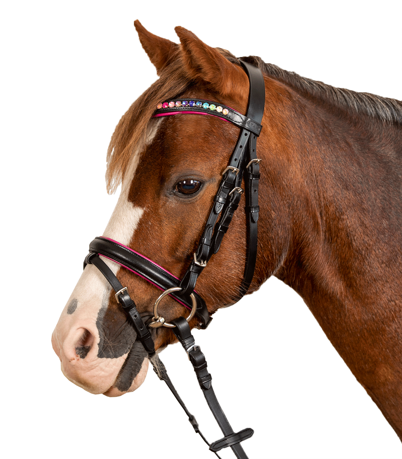 Träns Star - Pinky