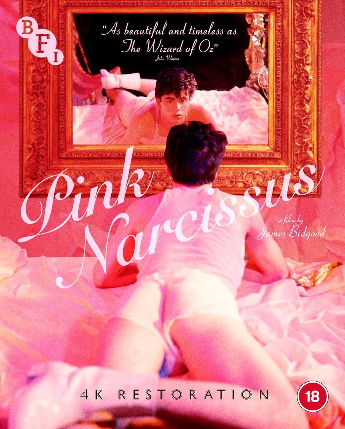  Pink Narcissus (Limited Edition) (ej svensk text) (Blu-ray)