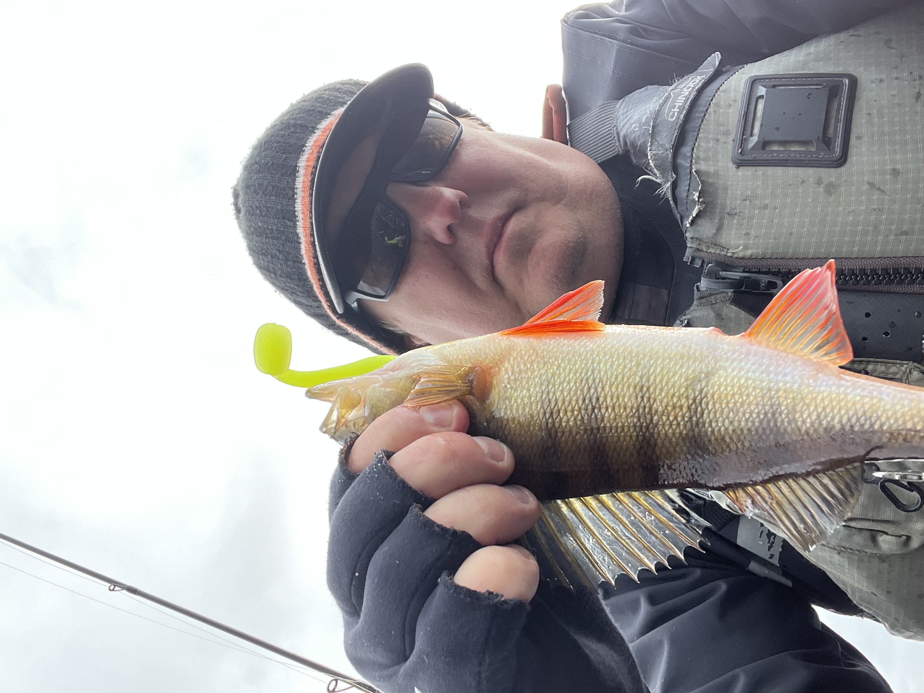 ZMAN MINNOWZ 3inch - Hot Chartreuse - 6 PACK - 2