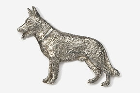 Pin Schäfer