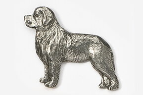 Pin Newfoundlandshund