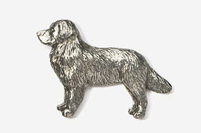 PIN Berner sennenhund