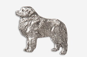 PIN Pyrenéerhund