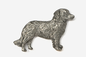 PIN Nova scotia duck tolling retriever