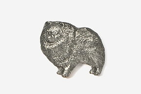 PIN Pomeranian