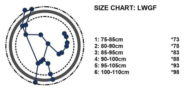 Orion defense LWGF Battle belt - 5