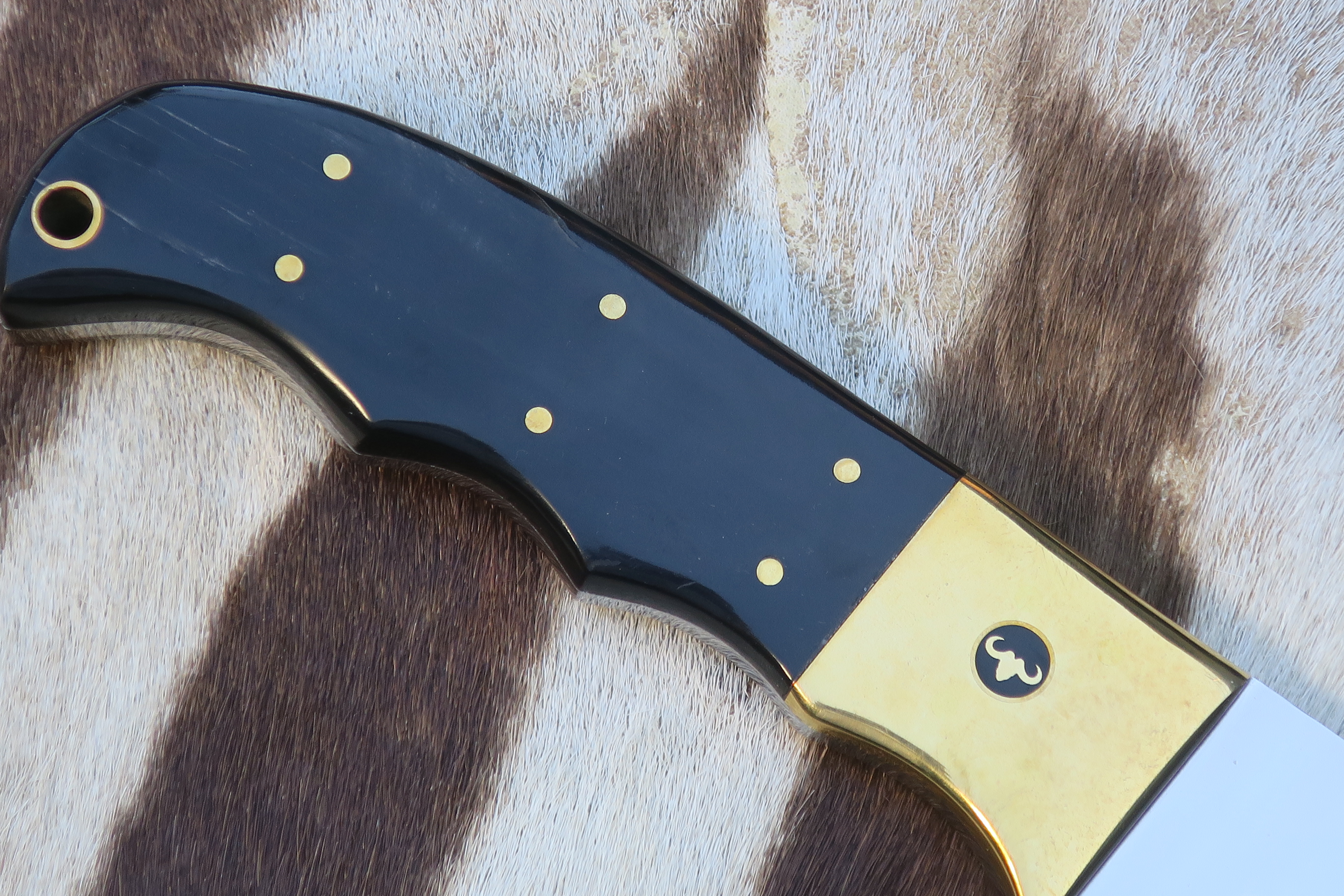 PRISSÄNKT - Buffelhorn - Cape Buffalo Horn - Storviltskniv från Sydafrika  - 3