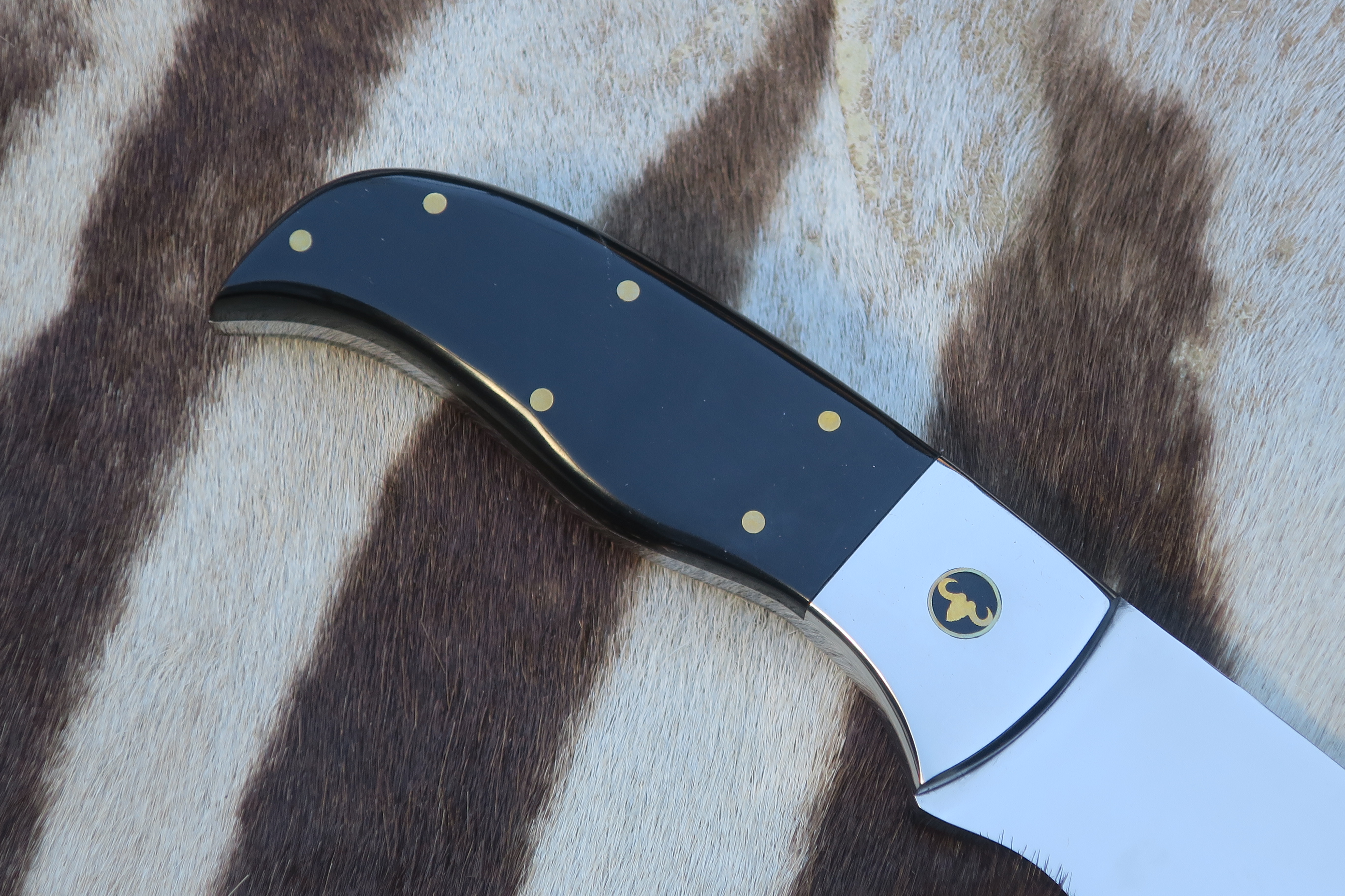PRISSÄNKT - Hyena Skinner - Cape Buffalo Horn - Skinner/Utility knife - 6