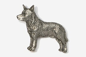 Pin Australian cattledog