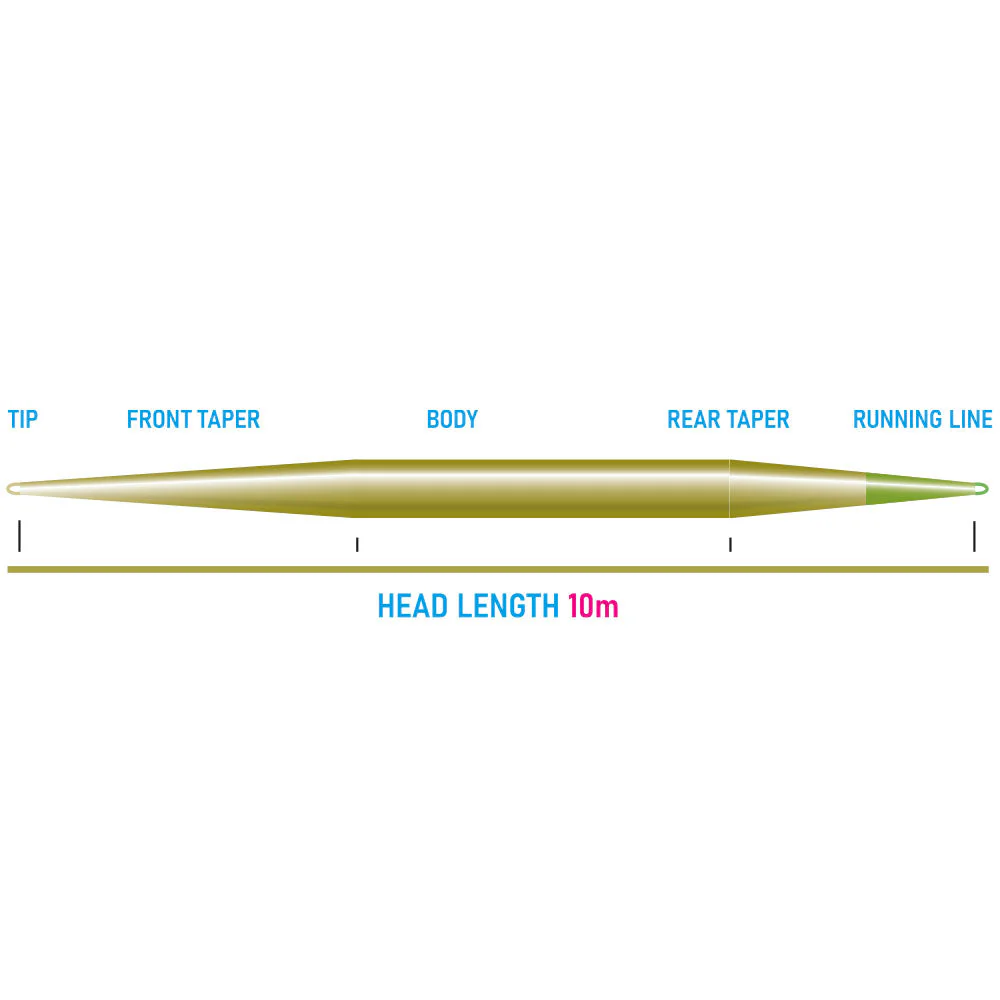 Vision Seatrout Shooting Head  - 2