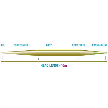 Vision Seatrout Shooting Head 