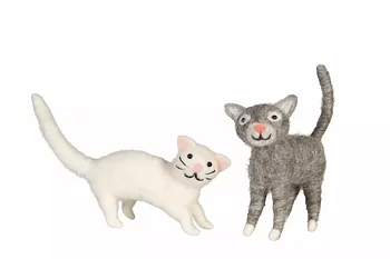 Filtad katt -Vit