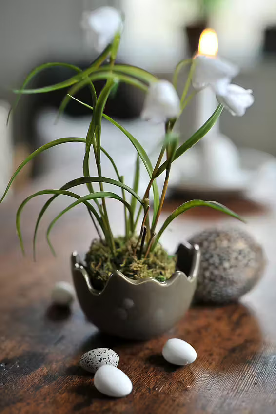 DBKD: Easter collection - Three eggshell pots - 4