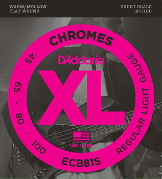 D'Addario ECB81S
