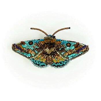 Brosch Lanipes Moth, Trovelore