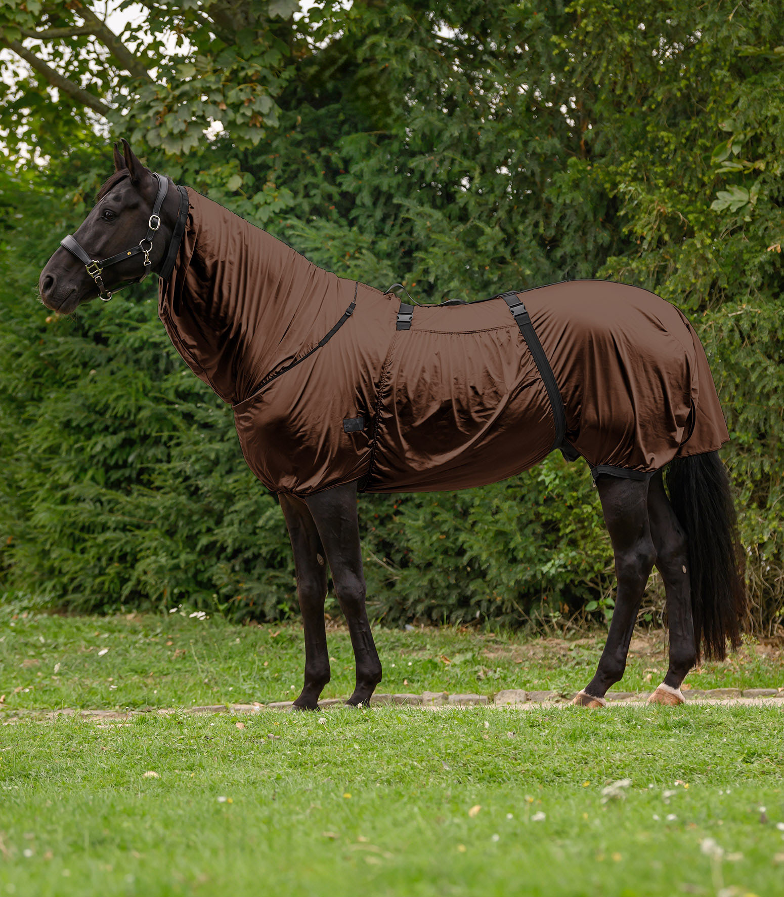 Waldhausen Basic eczema blanket - Mocca - 2