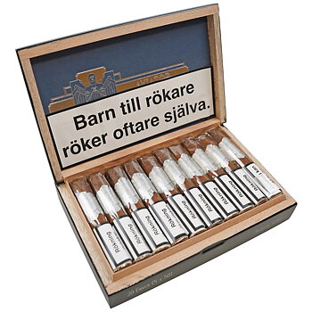 Principle Aviator Envoi Robusto
