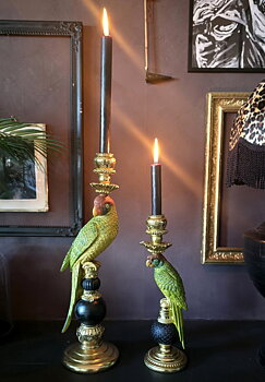 Ljusstake - Green Parrot