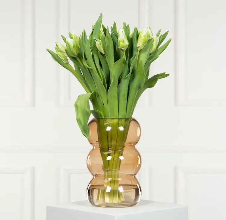 Vase Tulip Fudge Glass - 2