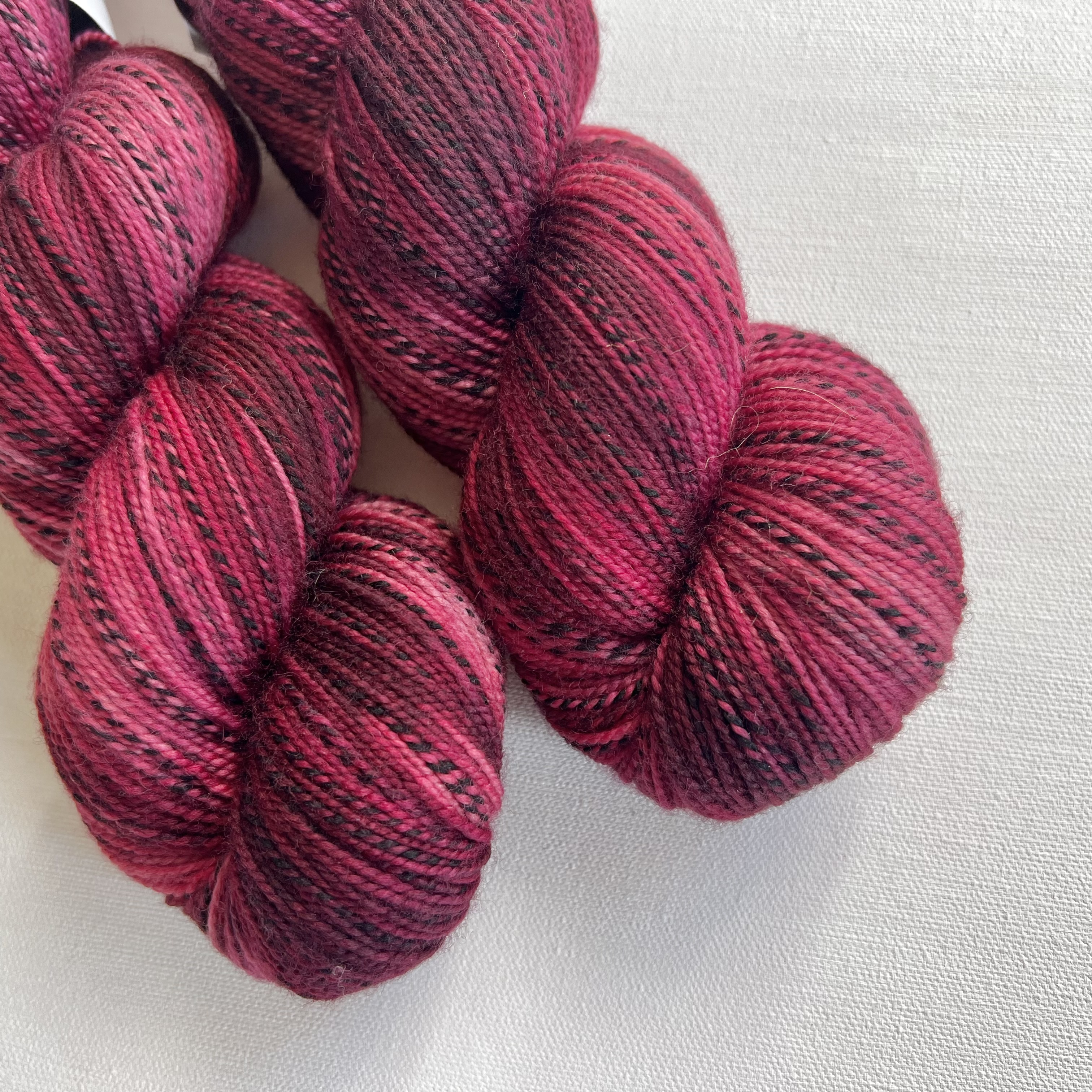 Mysa Zebra - Rödtjut - 2