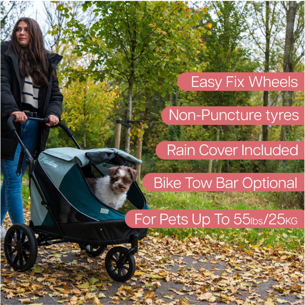 InnoPet Noah - Lagoon - Pet stroller - 2