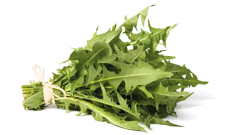 Dandelion leaf 100g EKO, Crearome - 2