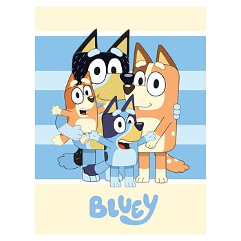 Bluey Filt Fleece