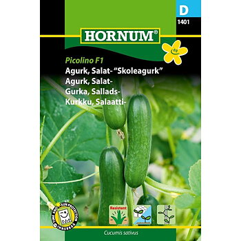 Gurka Picolino' F1