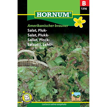 Plocksallat 'Amerikanischer brauner'