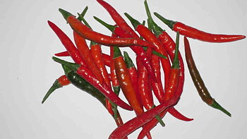 Thai Ladyfinger Chili