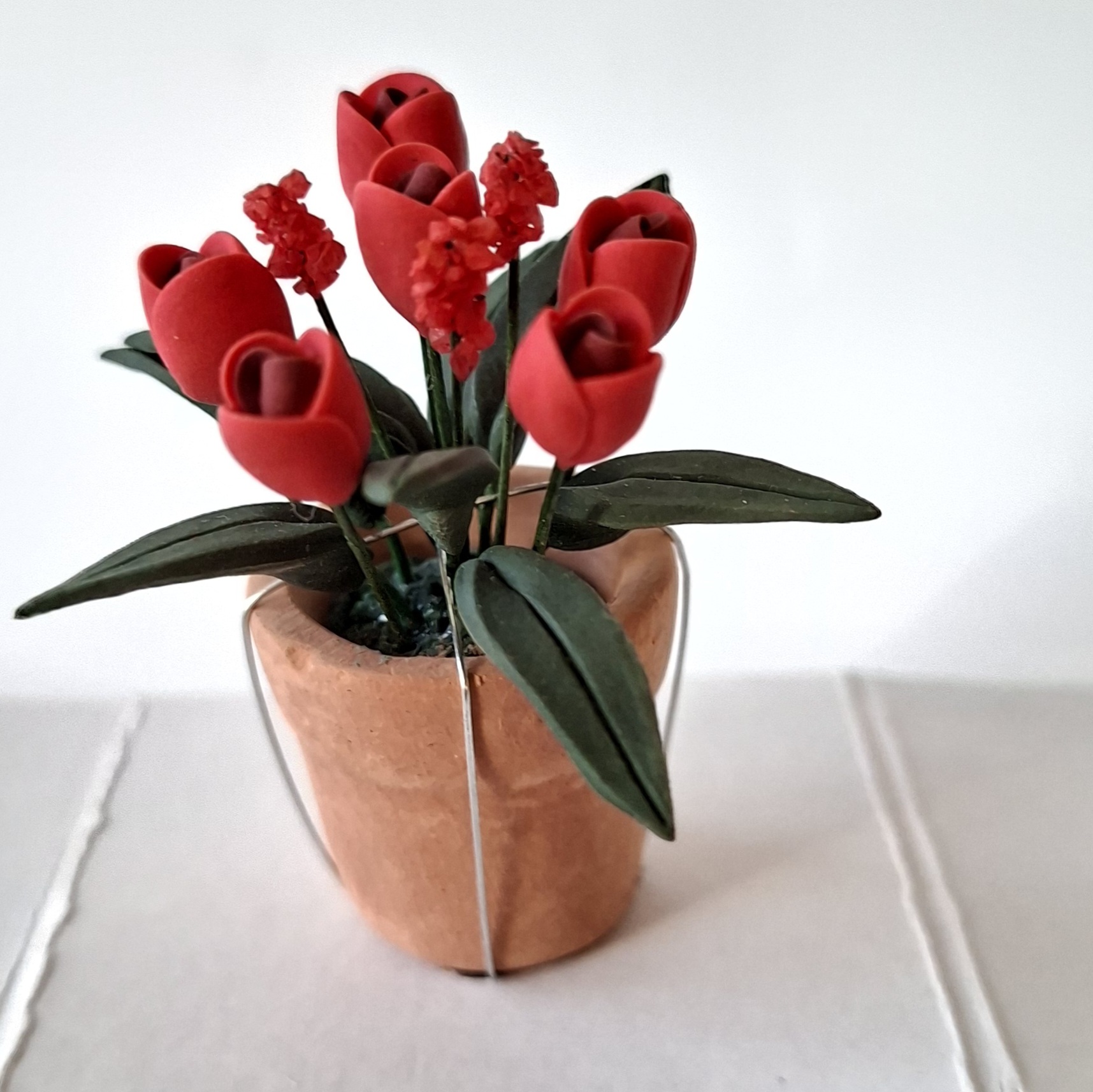Tulips in pot red