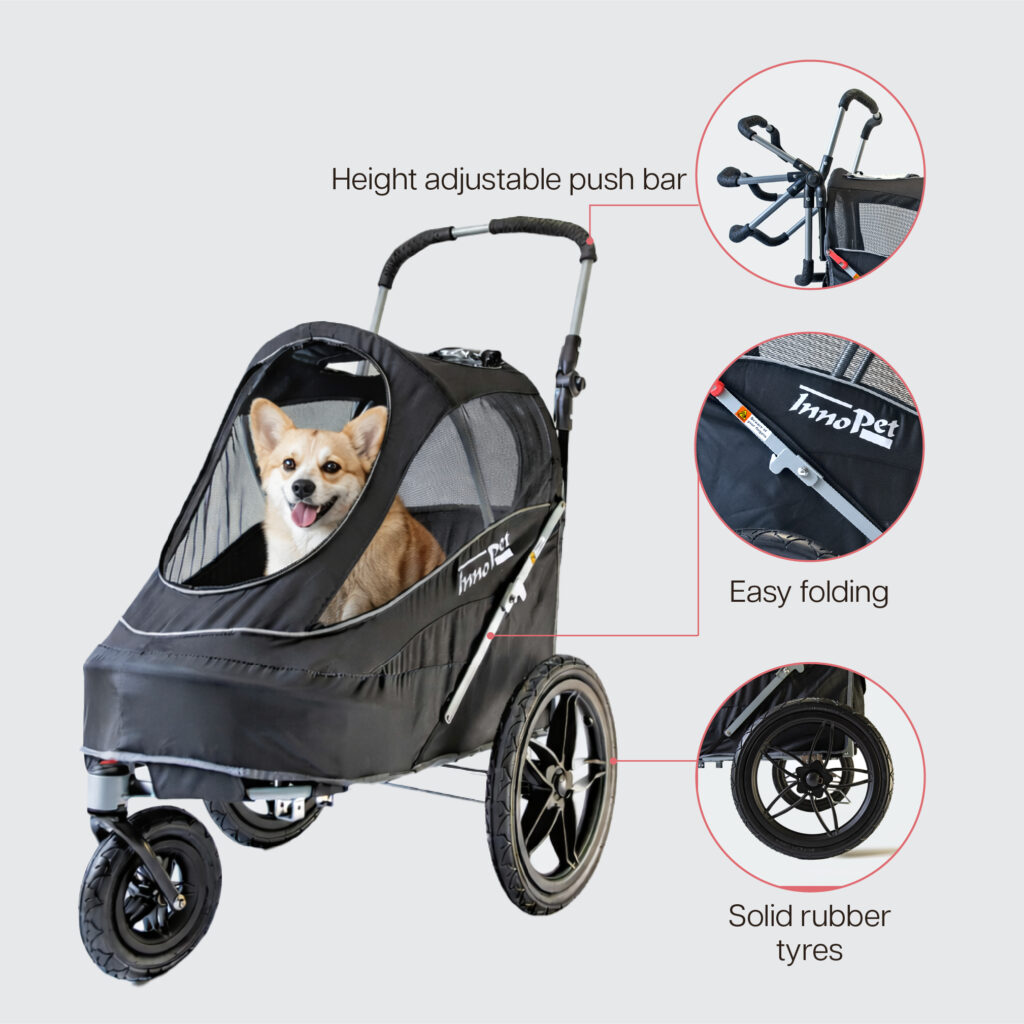 INNOPET SPORTY EVR - BLACK - 4