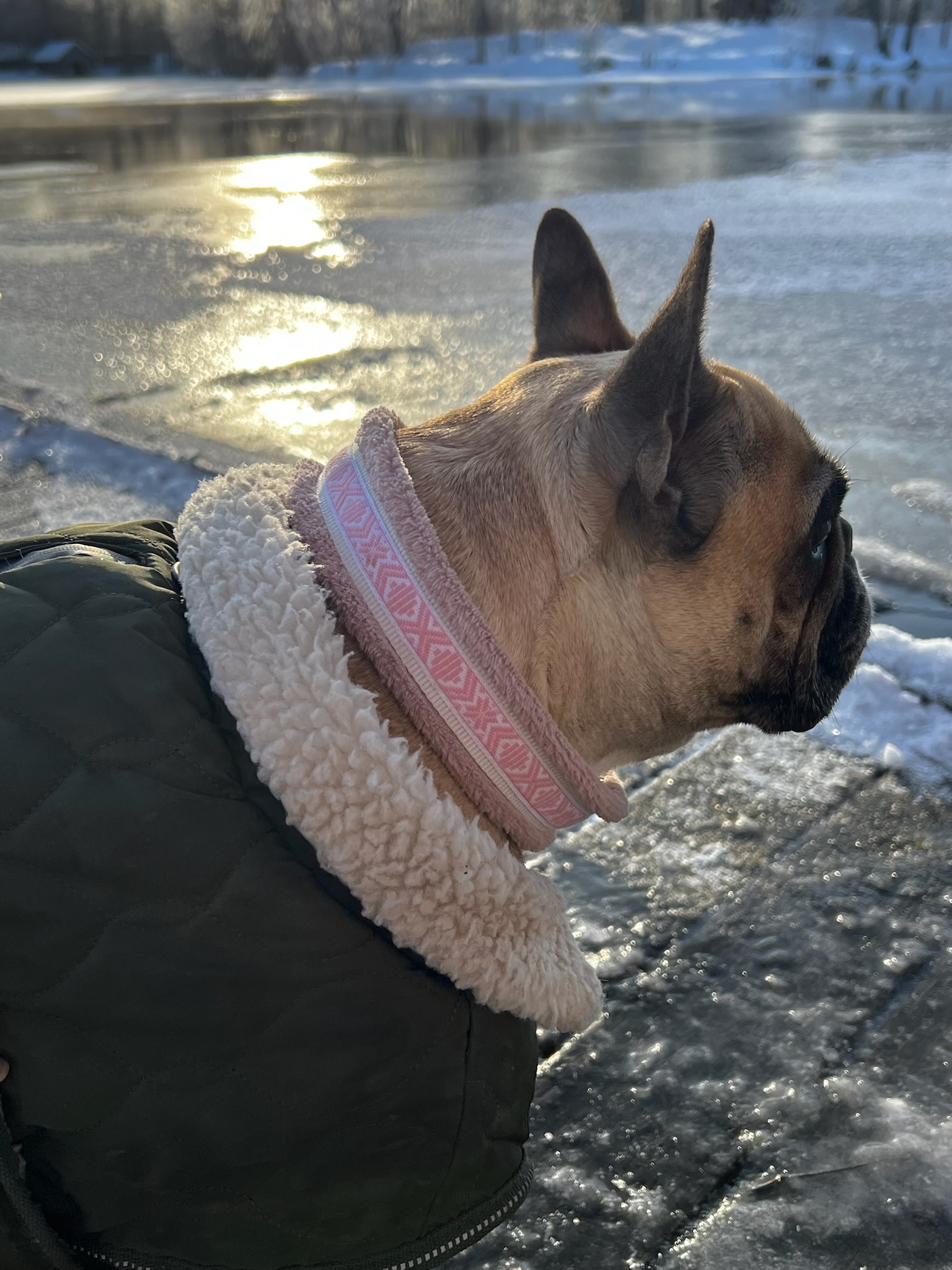 Dog collar fleece  - 3