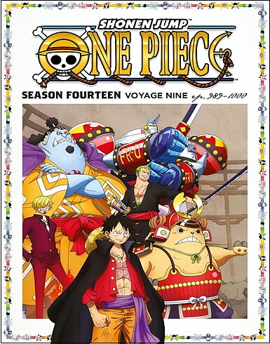 One Piece - Season Fourteen - Voyage Nine (BLU-RAY + DVD)