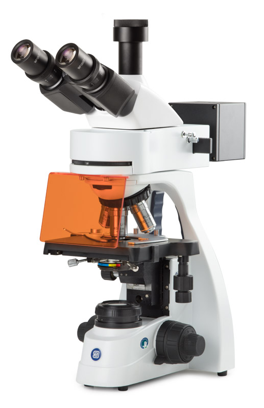 Euromex bScope BS.3153-PLFi fluorescensmikroskop trinokulärt 40–1000× (Fluarex-optik)